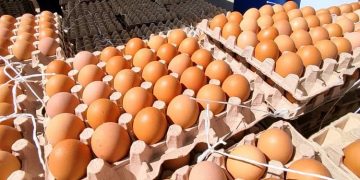 alimentos huevos