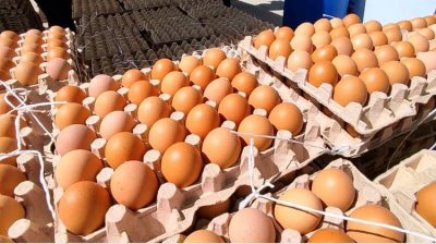 alimentos huevos