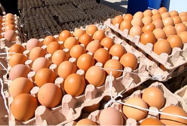 alimentos huevos