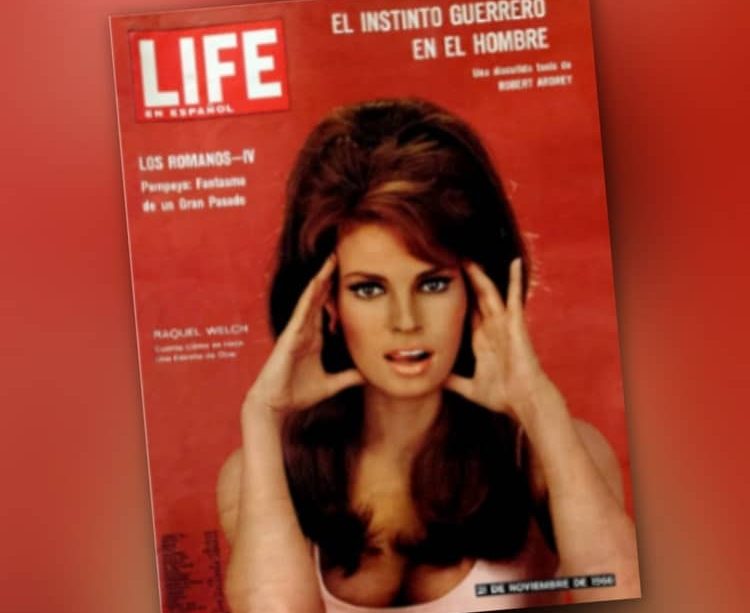 pistas de maldox, revista life en español