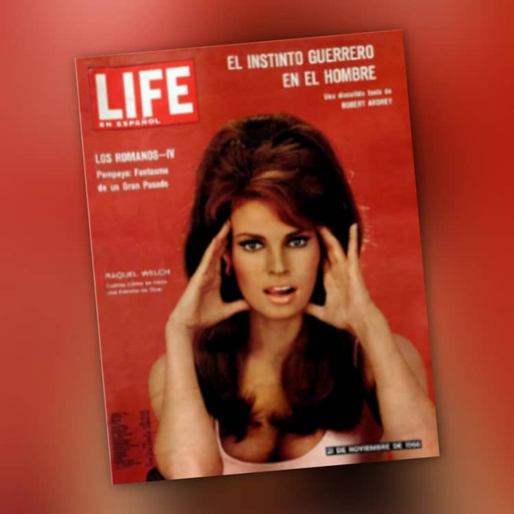 pistas de maldox, revista life en español