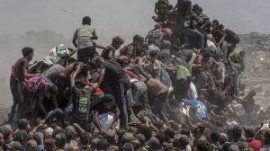 palestinnos tratan de conseeguir alimentos Gaza 2025