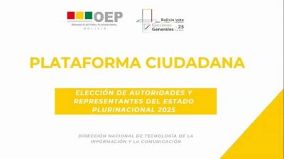 tse plataforma ciudadana OEP