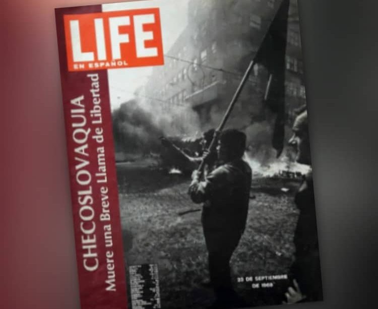 maldox 18 revista life en español