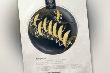 maldox 19 revista life en español