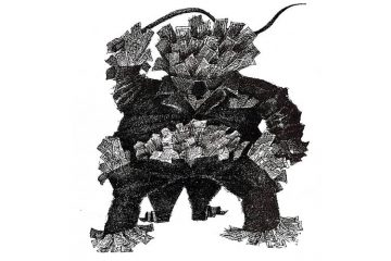 granja animales