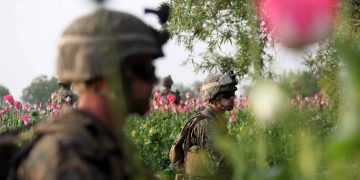 Marines de EEUU cultivos amapola, guerra afganistán 2011