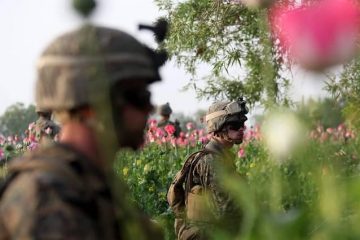 Marines de EEUU cultivos amapola, guerra afganistán 2011