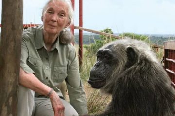 jane goodall