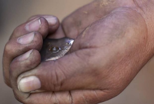 minería, mercurio,