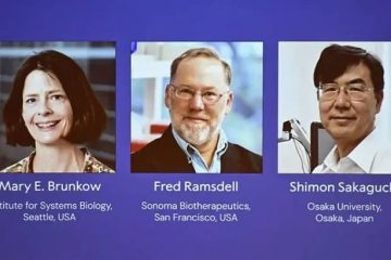 nobel medicina 2025 células T inmunología