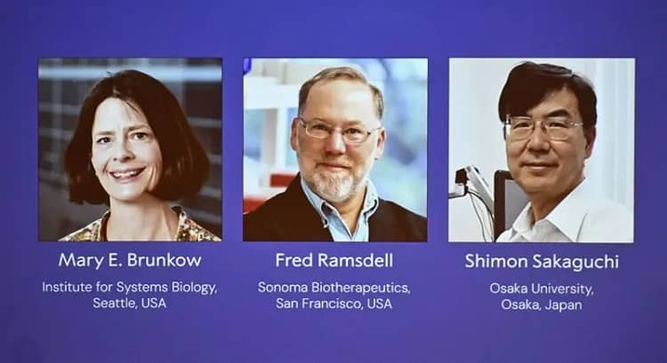 nobel medicina 2025 células T inmunología
