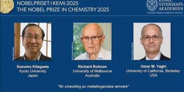 nobel química 2025
