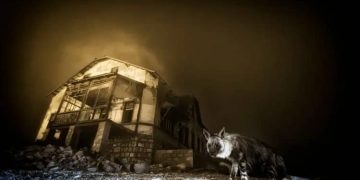 premio fotografía vida silvestre 2025