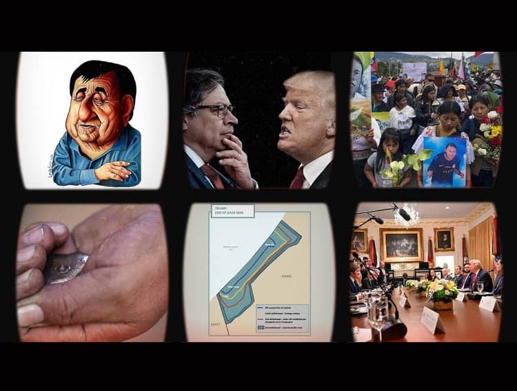 resumen autorrefenciales