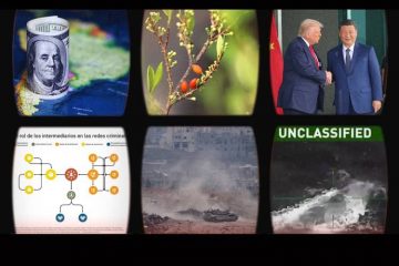 resumen tu lugar en el mundo