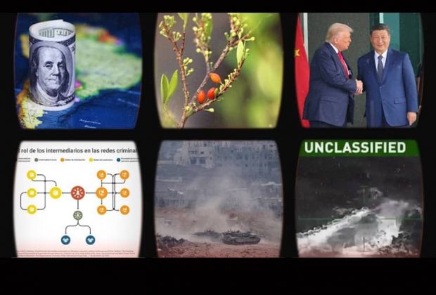 resumen tu lugar en el mundo