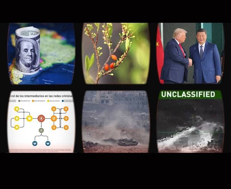 resumen tu lugar en el mundo