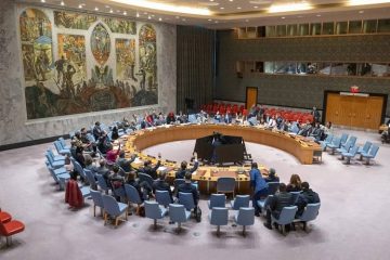 consejo seguridad onu