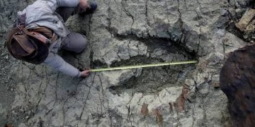 huella dinosaurio Sucre