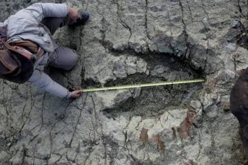 huella dinosaurio Sucre