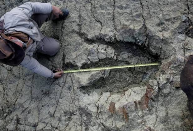 huella dinosaurio Sucre