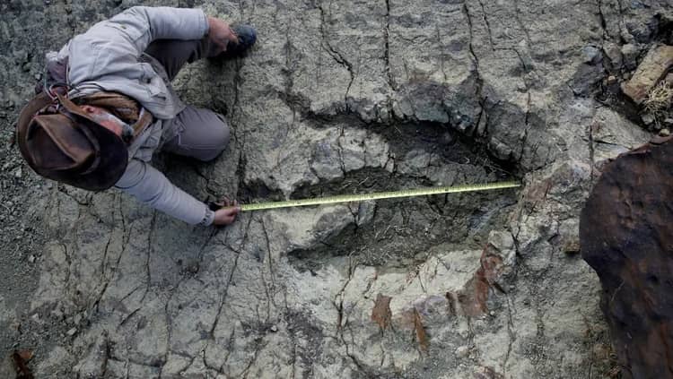 huella dinosaurio Sucre