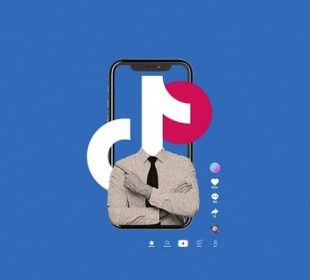 tiktok escenario político
