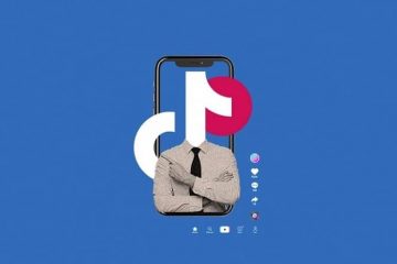 tiktok escenario político