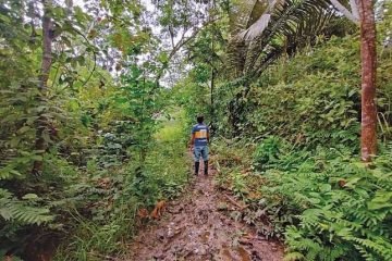 los narcos más pobres de la cadena del narotráfico.