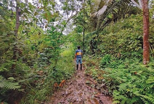 los narcos más pobres de la cadena del narotráfico.