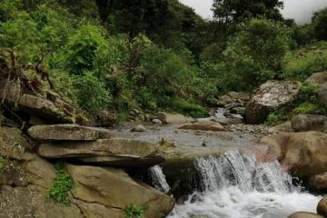 tariquía tarija bolivia area protegida