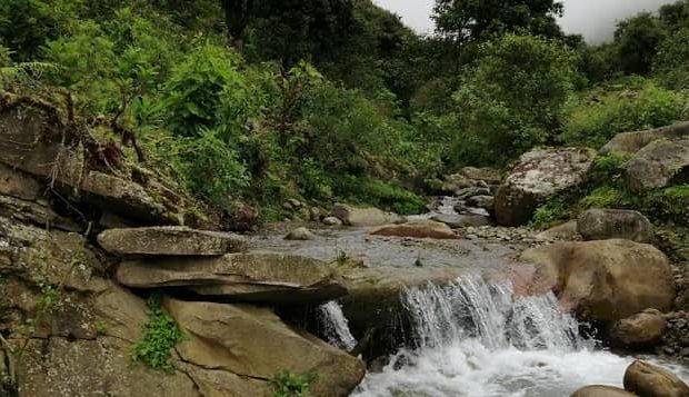 tariquía tarija bolivia area protegida