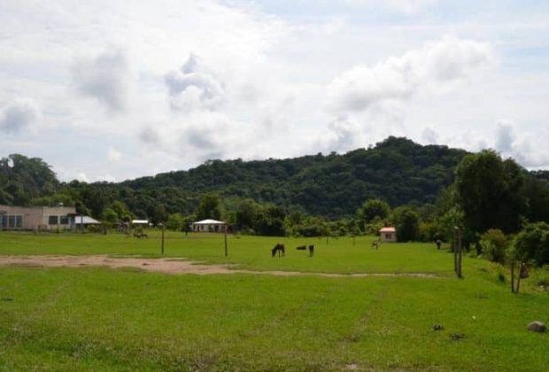 Praderas y bosques marcan parte del paisaje de la reserva natural de Tariquía. Foto: Miguel Miranda/CEDIB