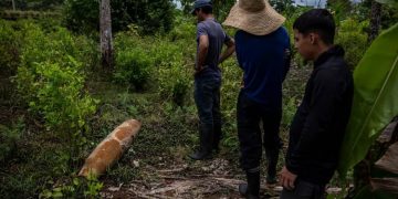 colombia proyectil presuntamente de Ecuardor, descubierto en colombia