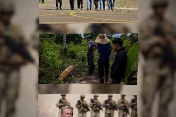 seguridad américa latina