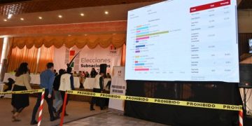 elecciones subnacionales OEP