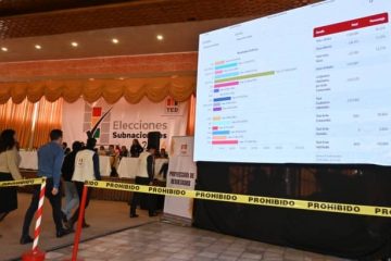 elecciones subnacionales OEP