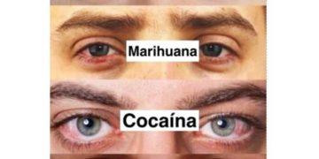 meme monitor de la situación