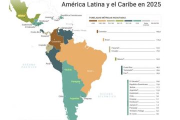 incautaciones cocaina america latina 2025 InSight Crime