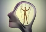 seguridad y manipulación