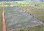 producción de soya bolivia