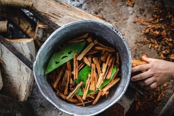 ayahuasca