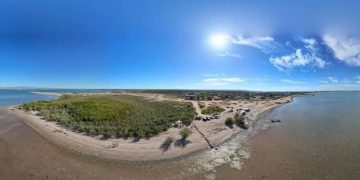 méxico maglares protección medio ambiente ciencia abierta