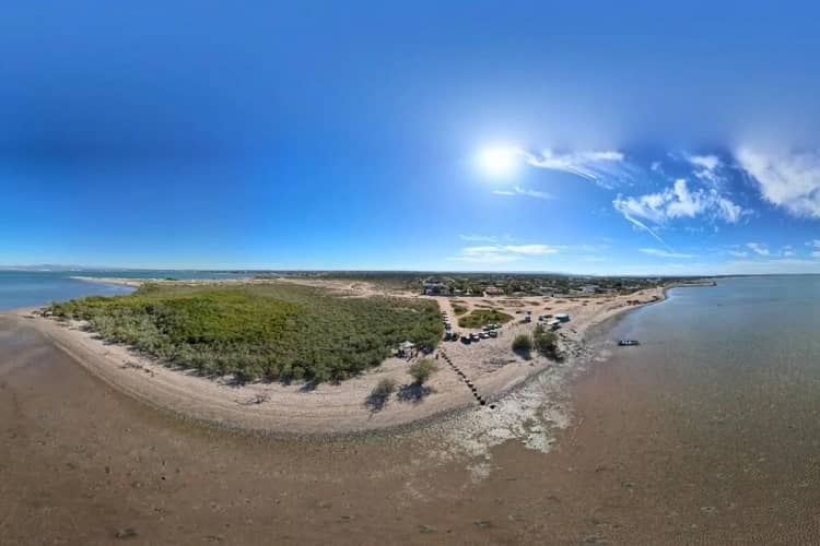 méxico maglares protección medio ambiente ciencia abierta