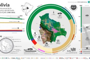 MapBiomas Bolivia