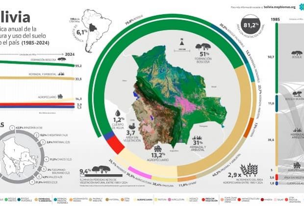 MapBiomas Bolivia
