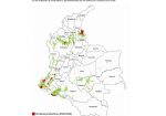 colombia zonas de cultivo de coca 2024