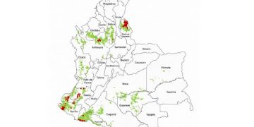 colombia zonas de cultivo de coca 2024