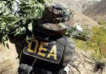 DEA erradicación narcotráfico
